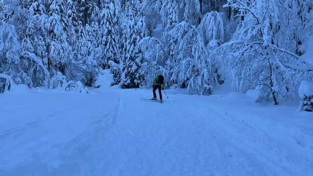 Winter landscape in Kranjska Gora, Slovenia