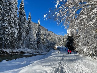 Fototapeta premium Winter landscape in Kranjska Gora, Slovenia