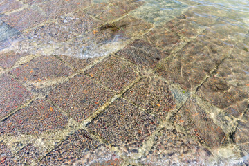 Fototapeta na wymiar Pavés carrés et colorés d'une route submergée avec effet mosaïque entre une île et le continent. Passage du Gois, Noirmoutier