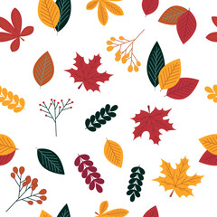 Autumn leaves seamless pattern on white background. Vector illustration.