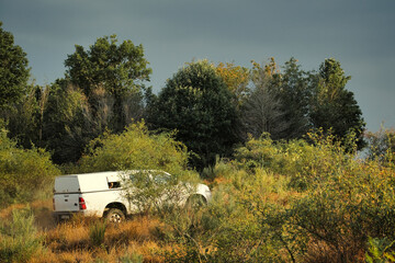 Hunter car driving on mountain forest white 4x4 car with dog inside clear sky and green vegetation