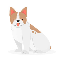 Dog breed french bulldog with his tongue hanging out is sitting. The character is a dog isolated on a white background. Animal illustration.