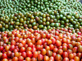 Rote und grüne Tomaten auf  einem Markt in der Karibik