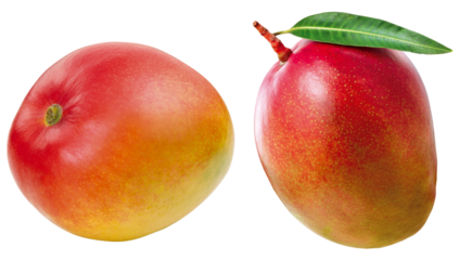 Manga inteira e manga com folha em fundo branco