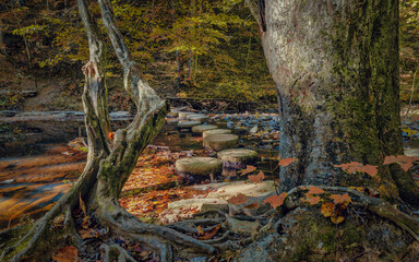 Stepping stone over river in the fall