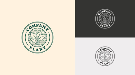 Logo template design, with the concept of a plant in a circle. Modern logo, plants and nature