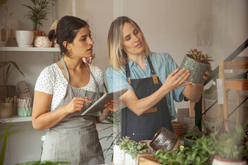 Flower shop owners setting prices in online store on digital tablet