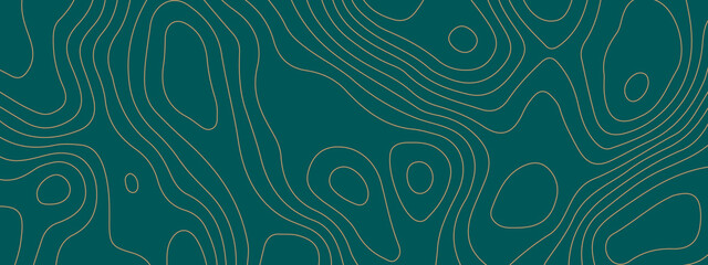 The stylized colorful wavy abstract topographic map contour, lines Pattern background. Topographic map and landscape terrain texture grid. Wavy banner and color geometric form. Vector illustration.
