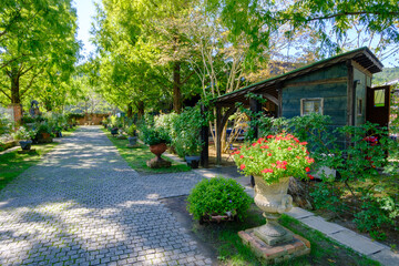 初秋のローザンベリー多和田　イングリッシュガーデン