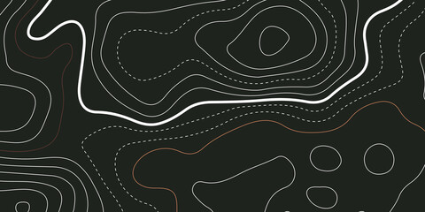 The stylized colorful wavy abstract topographic map contour, lines Pattern background. Topographic map and landscape terrain texture grid. Wavy banner and color geometric form. Vector illustration.