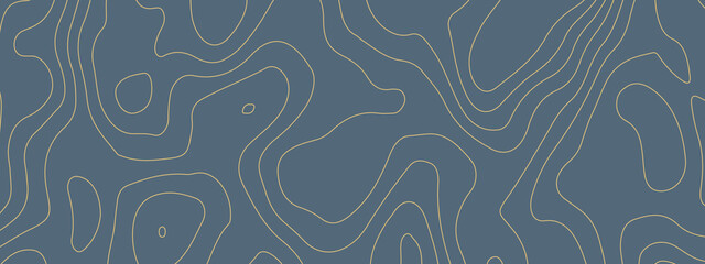 The stylized colorful wavy abstract topographic map contour, lines Pattern background. Topographic map and landscape terrain texture grid. Wavy banner and color geometric form. Vector illustration.