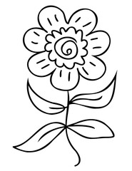Line art flower drawing. PNG with transparent background.