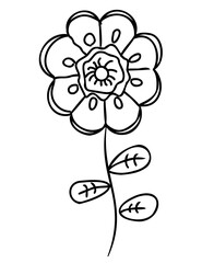 Line art flower drawing. PNG with transparent background.