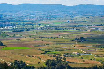 Rural landscape of vineyards. Catalonia, Spain