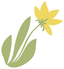 Colorful nature design element. PNG with transparent background.