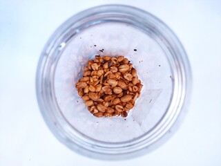 Peanuts in a glass jar