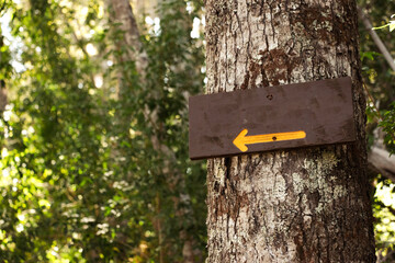 señal de flecha en el camino