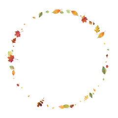 Leaves Falling Autumn Foliage Chaotic Leaf Flying