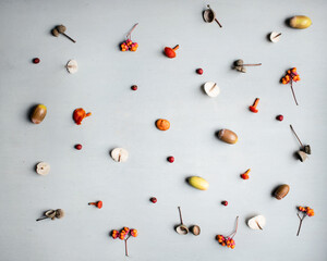 Autumn background with mushrooms, acorns, berries