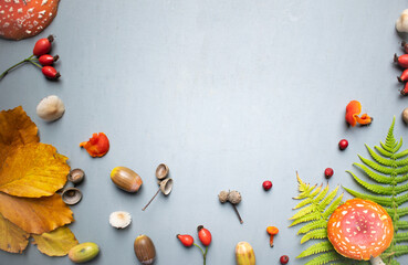 Autumn background, season, fall, forest fruits, mushroom, amanita, fly agaric, ferns, leaf, acorns