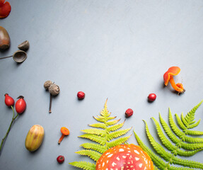 Autumn background, season, fall, forest fruits, mushroom, amanita, fly agaric, ferns, leaf, acorns