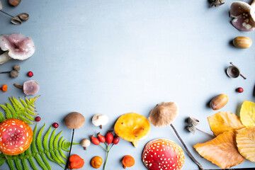 Autumn background, season, fall, forest fruits, mushroom, amanita, fly agaric, ferns, leaf, acorns