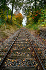 Fototapeta premium Railway with autumn trees on the sides