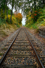 Railway with autumn trees on the sides