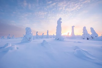Foto auf Alu-Dibond Finnish Lapland in Winter © Artem