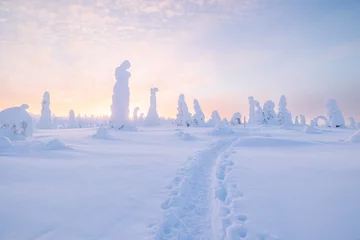 Tuinposter winter landscape with snow © Artem