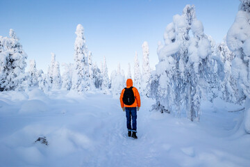 person in the snow forest