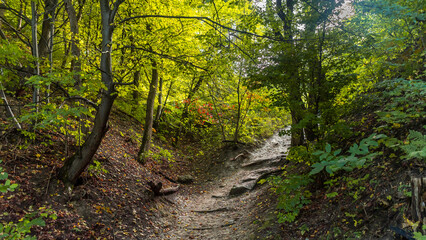 Scenic autumn landscape of a walking trail up in the mountains