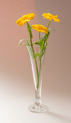Elegant floral arrangement of yellow flowers. Beautiful bouquet in wine glass. Pastel background. Romantic still life.