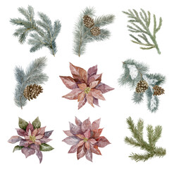 Watercolor Winter Branches on the White Background.