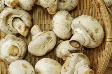 Champignon mushrooms on wood background