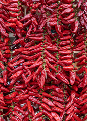 Espelette village au Pays Basque avec ses piments rouges et ses maisons traditionnelles