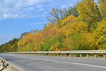 Fototapeta premium Autumn trees on the side of the road.