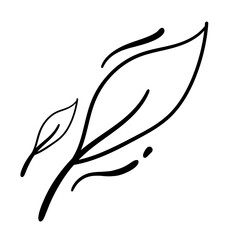 Leaf Nature Plant decoration