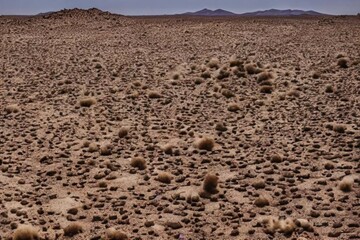 photo in desert