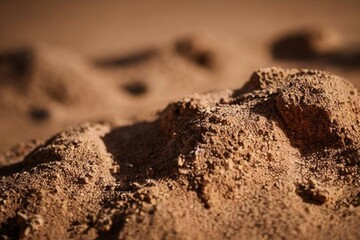 photo in desert