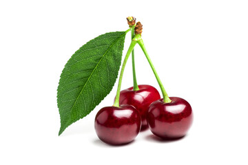 Cherry isolated. Sour cherry. Cherries with leaves on white background. Sour cherries on white