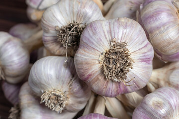 Garlic Cloves and Bulb on vintage wooden boards.