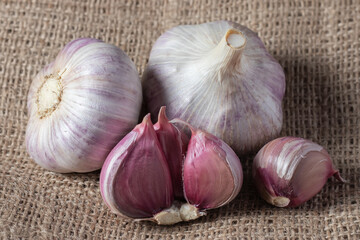 Garlic cloves on wooden table and sackcloth. Fresh peeled garlics and bulbs.