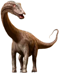 Fotobehang Dinosaurussen Diplodocus dinosaur from the Jurassic era 3D illustration   © warpaintcobra