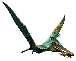 Pterodactylus prehistoric dinosaur 3D illustration  © warpaintcobra