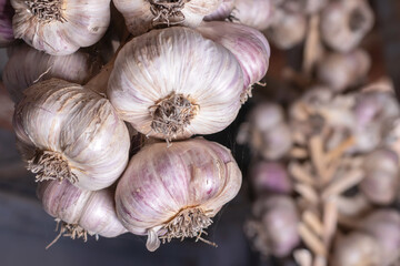 Harvested garlic hanging in bundles to dry