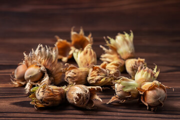 Hazelnut nut on wooden background close up