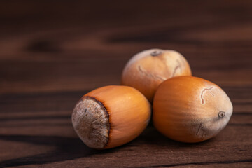 hazelnuts on a wooden table