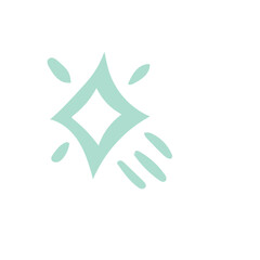 sparkling star icon
