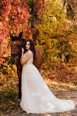 Fototapeta na wymiar Beautiful Brunette Girl Bride With Horse Autumn Forest Wedding Dress